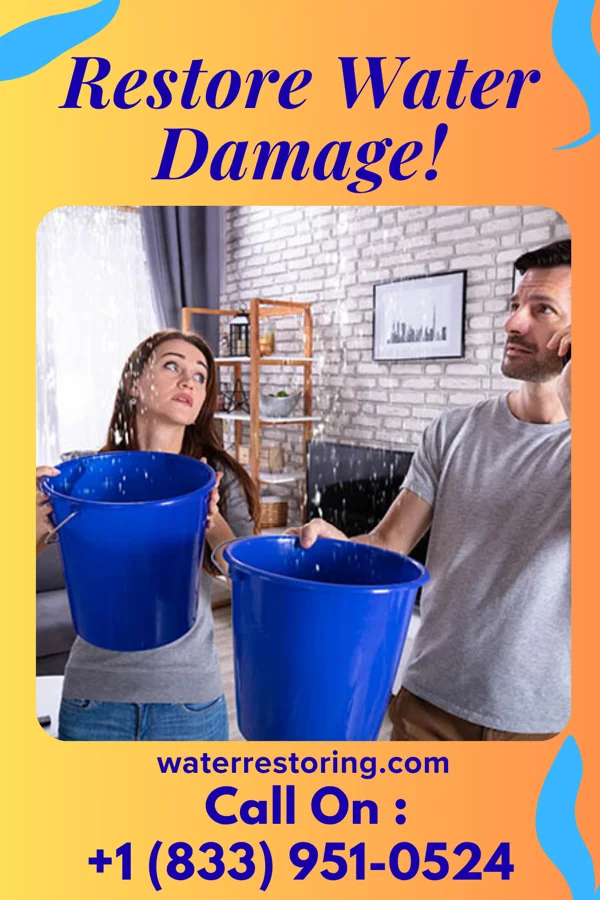 water restoration Pro Water Damage Group Lewis