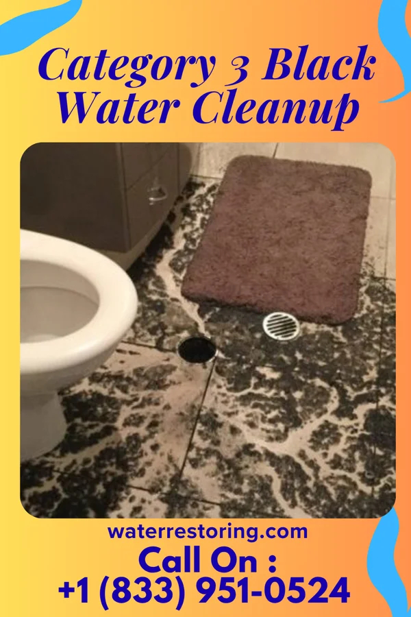 Category 3 Black Water Cleanup in Lewis, WI