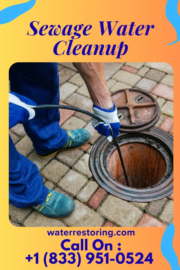 Sewage Water Cleanup in Lewis, WI